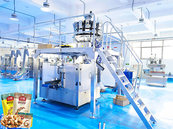 干果食品包装生产线
